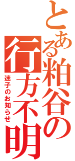 とある粕谷の行方不明（迷子のお知らせ）