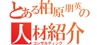 とある柏原朋英の人材紹介（コンサルティング）