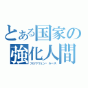 とある国家の強化人間（フロウウェン・ルース）