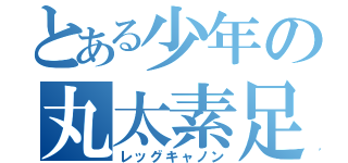 とある少年の丸太素足（レッグキャノン）