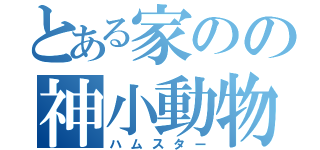 とある家のの神小動物（ハムスター）