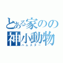 とある家のの神小動物（ハムスター）