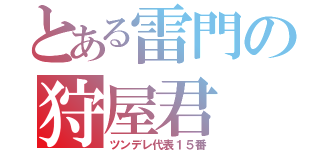 とある雷門の狩屋君（ツンデレ代表１５番）