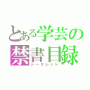 とある学芸の禁書目録（シークレット）