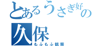 とあるうさぎ好きの久保（もふもふ観察）