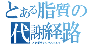 とある脂質の代謝経路（メタボリックパスウェイ）