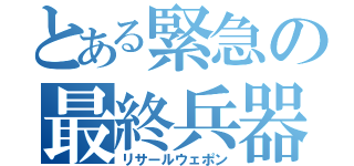 とある緊急の最終兵器（リサールウェポン）