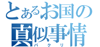 とあるお国の真似事情（パクリ）