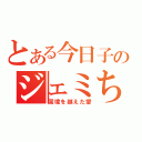 とある今日子のジェミちゃん日記（国境を越えた愛）