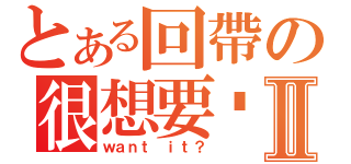 とある回帶の很想要吧Ⅱ（ｗａｎｔ ｉｔ？）