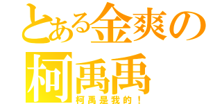 とある金爽の柯禹禹（柯禹是我的！）