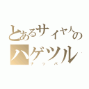 とあるサイヤ人のハゲツル（ナッパ）