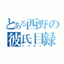 とある西野の彼氏目録（トリセツ）