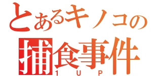 とあるキノコの捕食事件（１ＵＰ）