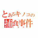 とあるキノコの捕食事件（１ＵＰ）