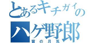 とあるキチガイのハゲ野郎（皆の月兎）