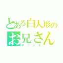 とある白人形のお兄さん（ターンＸ）