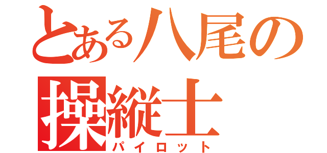 とある八尾の操縦士（パイロット）