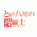 とある八尾の操縦士（パイロット）