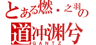 とある燃烧之羽の道冲渊兮（ＧＡＮＴＺ）