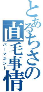 とあるちさの直毛事情（パーマネント）