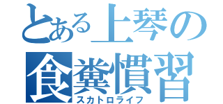 とある上琴の食糞慣習（スカトロライフ）