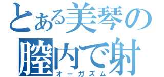 とある美琴の膣内で射精（オーガズム）