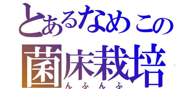 とあるなめこの菌床栽培（んふんふ）