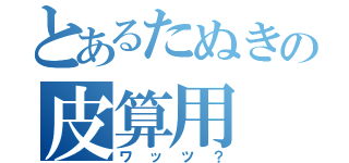 とあるたぬきの皮算用（ワッツ？）