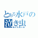 とある水戸の泣き虫（鳥のお面小僧）