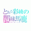 とある彩綾の蹴球馬鹿（サッカーバカ）