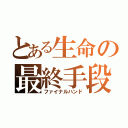 とある生命の最終手段（ファイナルハンド）