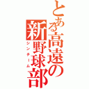 とある高遠の新野球部Ⅱ（シンチーム）