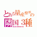 とある量産整形の隣国３種（素体は貧乳大顎眉骨短脚弓状指紋）