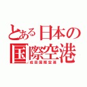 とある日本の国際空港（成田国際空港）