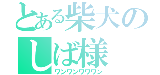 とある柴犬のしば様（ワンワンワワワン）