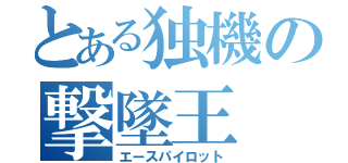 とある独機の撃墜王（エースパイロット）