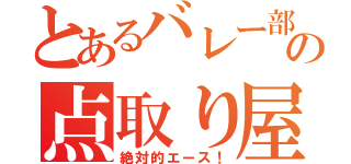 とあるバレー部の点取り屋（絶対的エース！）