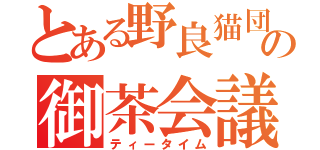 とある野良猫団の御茶会議（ティータイム）