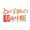 とある自称の寿命中断（クリティカル）