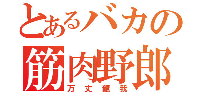 とあるバカの筋肉野郎（万丈龍我）