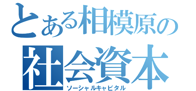 とある相模原の社会資本（ソーシャルキャピタル）