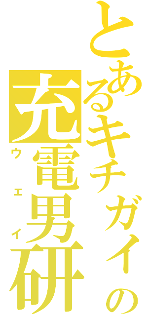 とあるキチガィの充電男研（ウェイ）