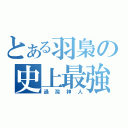 とある羽梟の史上最強（過灣神人）