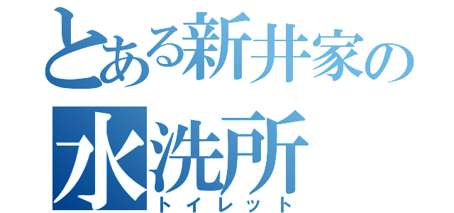 とある新井家の水洗所（トイレット）