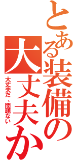 とある装備の大丈夫か？（大丈夫だ、問題ない）