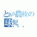 とある農校の球児（小松尚）