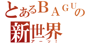 とあるＢＡＧＵ☆の新世界（アーッ！）