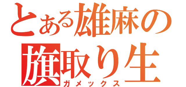 とある雄麻の旗取り生活（ガメックス）