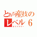 とある産技のレベル６（カリフラワー）